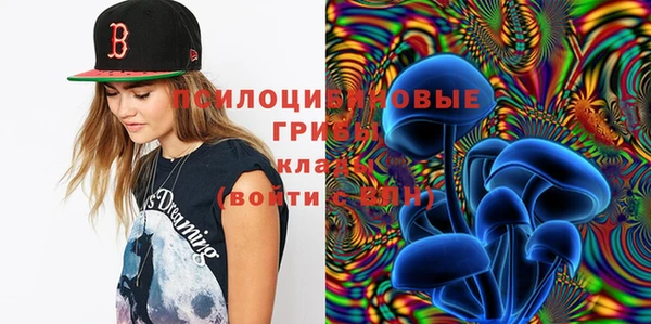 не бодяженный Алзамай