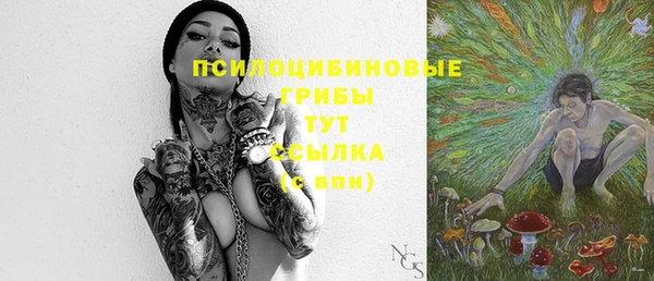 сатива Алексин