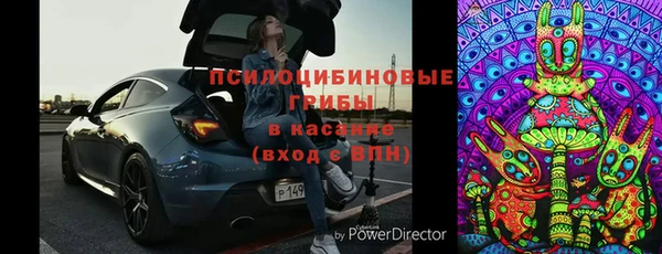 твердый Алексеевка