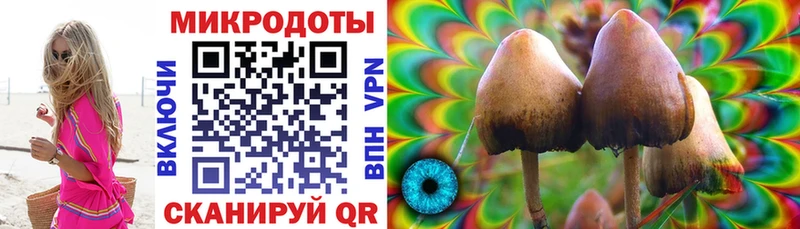 Псилоцибиновые грибы ЛСД  продажа наркотиков  Могоча 